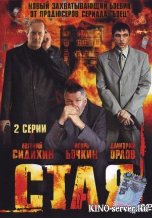 Стая